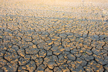 The ground in the field that was so barren that it was parched And the evening sun