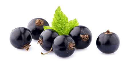 Black currant berries with leaf  on White Background