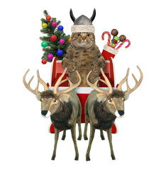 A cat Santa Claus in a viking helmet with Christmas gifts sits on a reindeer sleigh. White...