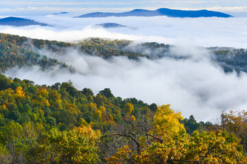 Shenandoah National Park in autumn foliage and fog - Virginia, United States of America	