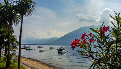  Lago Maggiore Ascona Schweiz	
