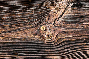 Sunburnt wood, aged by wind and time. Old wood texture. Weathered cut of tree rings.
