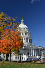 U.S. Capitol Building in autumn foliage - Washington D.C. United States of America