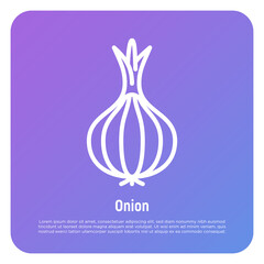 Onion thin line icon. Vegetable, flovouring. Healthy organic food. Vector illustration.
