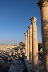 Ancient Roman road in Jerash; the north of Jordan, south of Syria
