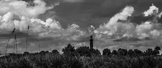 black and white landscape