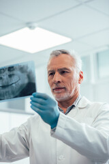 Orthopantomogram in hands of professional Caucasian doctor
