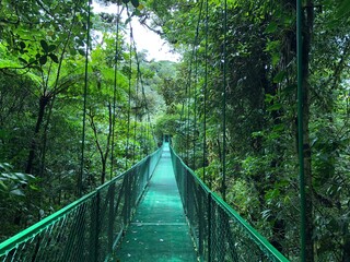 Obraz premium costa rica woods bridge