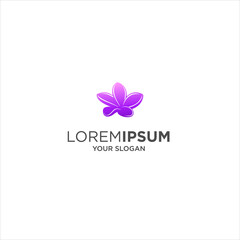frangipani flower spa logo vector