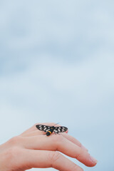 Buterfly has a Girl Hand. Beautiful Nature background