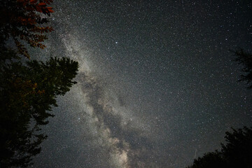 Starry sky and dark silhouettes of trees. Milky way in the night sky. Astrophotography.