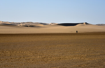Hiking through the Namib which is the oldest desert in the world