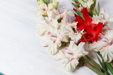 Soft cream with pink and red tender gladiolus flowers bouquet on white wooden background