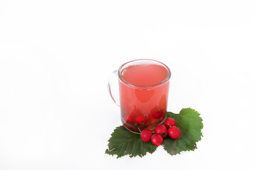 Fresh hawthorn berries, hawthorn tea, next to many green leaves on a white background. Health concept, healthy heart. Copy space. View from above
