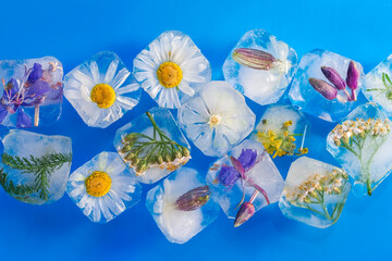Ice cubes with flowers and herbs frozen inside them. Flower ice for drinks close-up.
