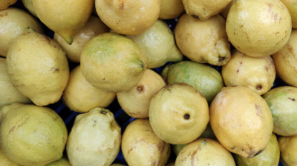 lemons fruits for make lemonade juice