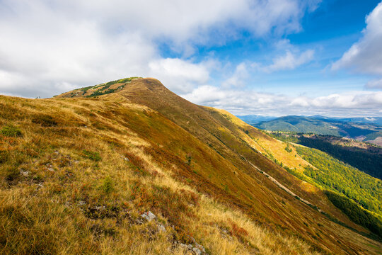 mountain landscape in autumn. dry colorful grass on the hills. ridge behind the distant valley. view from the top of a hill. clouds on the sky. synevir national park, ukraine