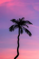 Fotobehang Paars Palmboom bij zonsondergang in Thailand