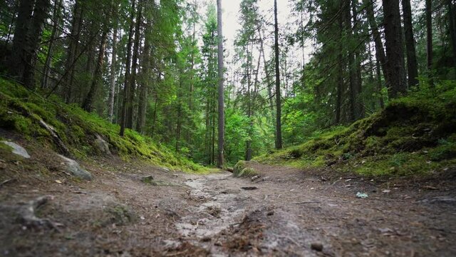Outcrops of Devonian sandstone on the banks of Ahja river, Estonia. Slow motion 