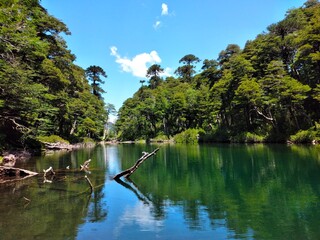 Parque nacional Huerquehue. Laguna, vegetación y naturaleza. Chile