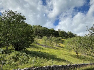 Fototapeta na wymiar Roadside view, of the trees and hills next to Kilnsey Crag, Skipton, UK