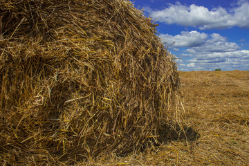 Hey rolls in the field