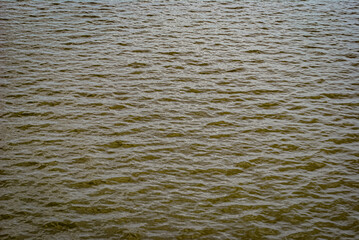 ripples in the water