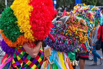 Cardadores de Vale de Ílhavo group in Festival of the Iberian Mask in Lisbon, Portugal