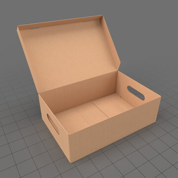 Open cardboard shoe box
