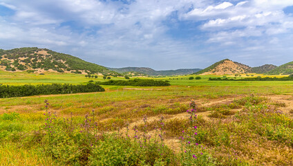 Fototapeta na wymiar A panoramic view of a plain on the Karpass Peninsula, Northern Cyprus