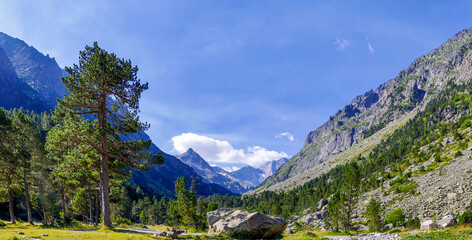 Gaube Lake in French Pyrenees, department of the Hautes-Pyrenees, near Cauterets, France, Europe