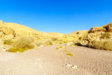 Nahal Shani (desert valley). Eilat Mountains