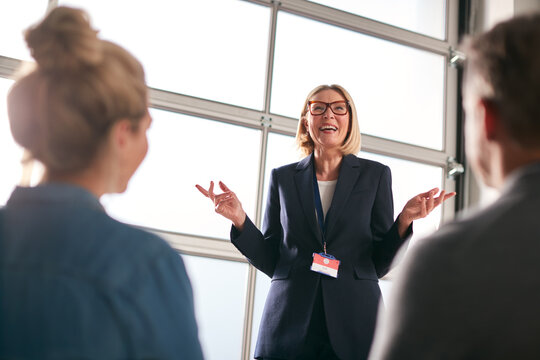 Mature Businesswomen Giving Presentation To Colleagues At Conference