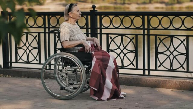 Senior woman sit on wheelchair on nature