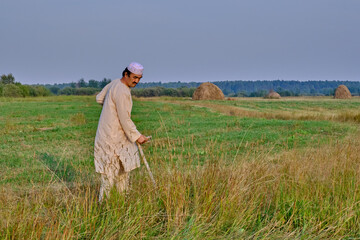 An elderly asian man in an embroidered skullcap and white traditional Clothes mows hand-scythe grass in a hayfield.