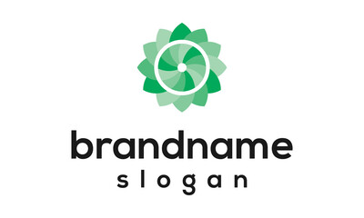 Modern flower logo design vector