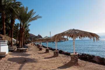 Fototapeta premium tropical beach with palm trees