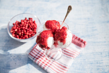 Ice cream balls with jam from red cranberries in a glass creamer, berries in focus. Horizontal...