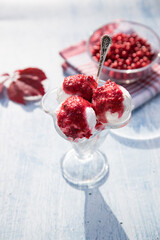 Cream bowl with three balls of ice cream and cranberry jam, berries in a transparent plate, red leaves in focus . Close up. Vertical orientation
