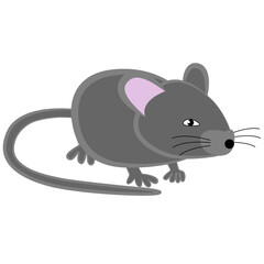 Gray house mouse on a white background.