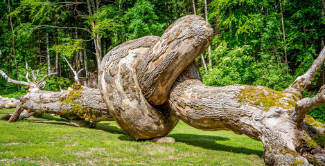 Arte Sella wood works in the nature in Trentino Alto Adige, Borgo Valsugana, The Sella Valley, Borgo Valsugana northern Italy, Europe. Arte Sella: the contemporay mountain