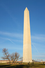 Washington Monument and Capitol - Washington D.C. United States of America