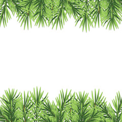 Fototapeta premium Border with Christmas tree branches on white background