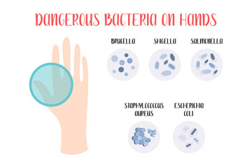 Dangerous bacteria on hands: Brucella, Shigella, Salmonella, Staphylococcus Aureus, Escherichia Coli. Vector flat illustration. Perfect for flyer, medical brochure - obrazy, fototapety, plakaty