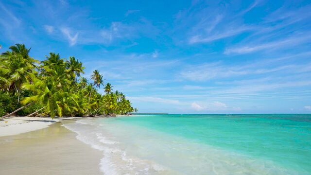 Beautiful Brazil wild palm beach and sea landscape. Blue Atlantic ocean waves bordered by a beautiful palm grove. 4K loop video without people, copy space.