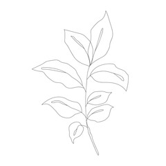 Minimalism line drawing. Flower vector one line art. Botanical Sketch Vector Illustration. Nature vector Line drawing.