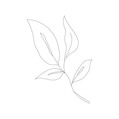Minimalism line drawing. Flower vector one line art. Botanical Sketch Vector Illustration. Nature vector Line drawing.