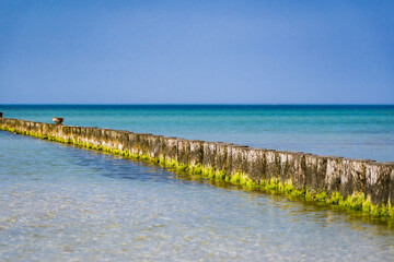 Fototapeta premium wooden pier in the ocean