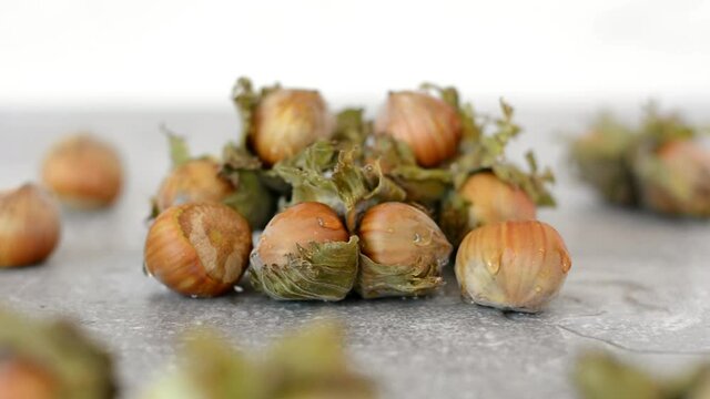Left to right close up view of fresh whole hazelnuts in shells on bright white background.