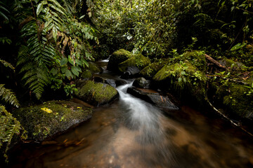 cascada larga exposición